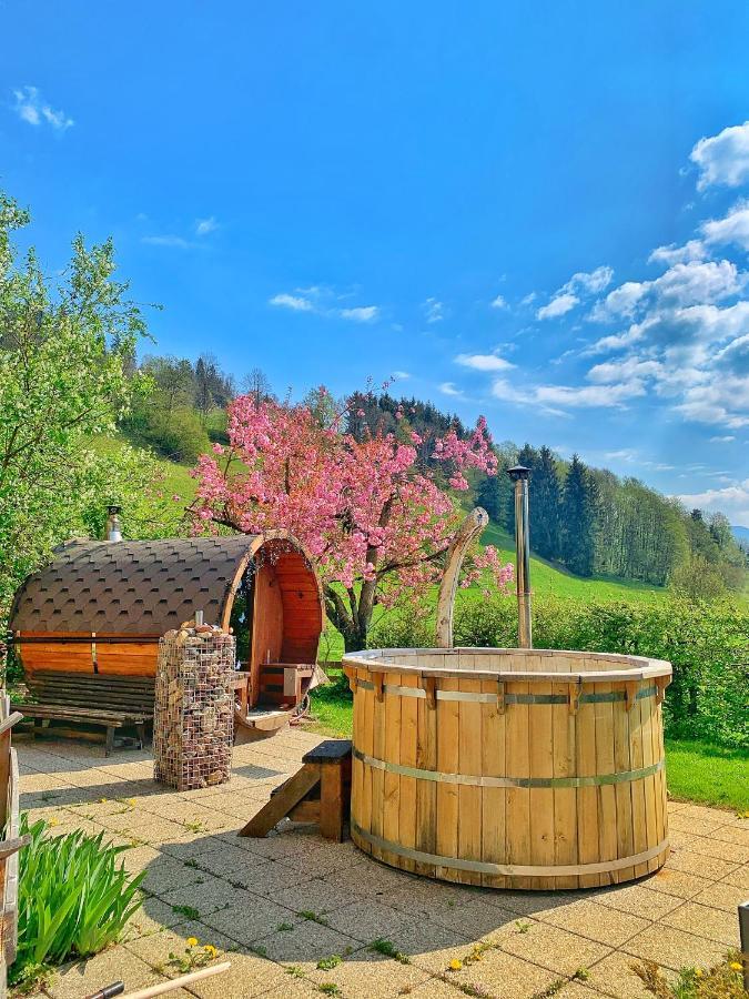 Hotel Garni Wieshof Kirchberg in Tirol Esterno foto