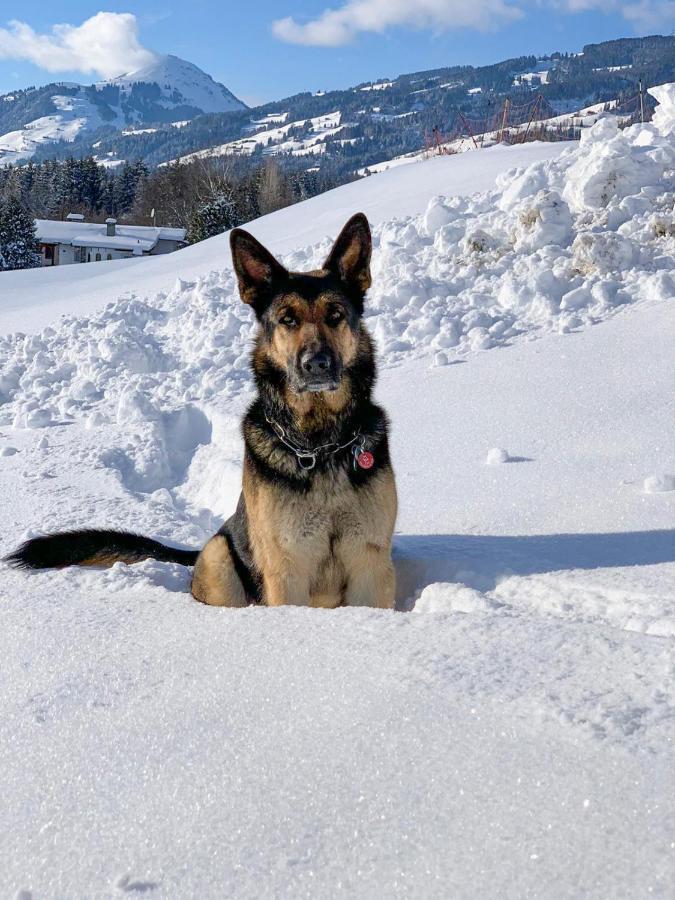 Hotel Garni Wieshof Kirchberg in Tirol Esterno foto