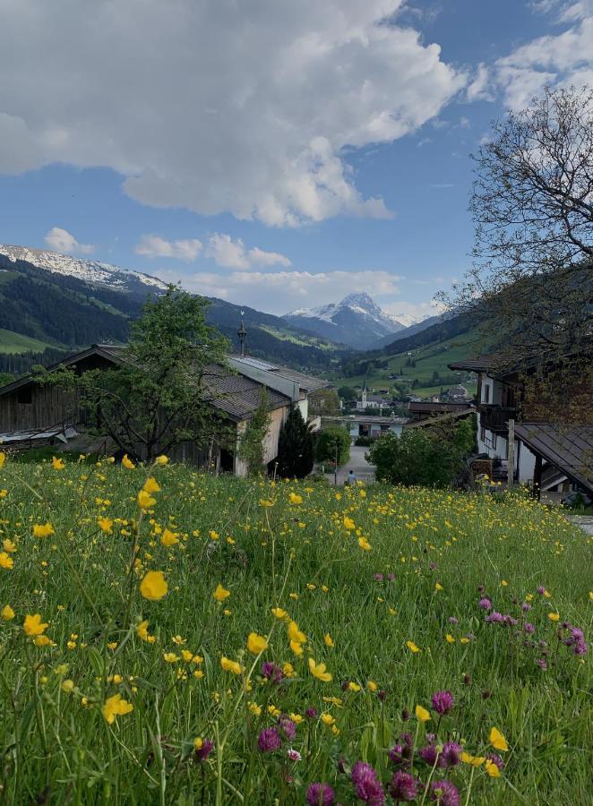 Hotel Garni Wieshof Kirchberg in Tirol Esterno foto